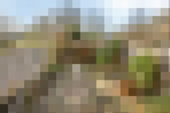 Sikkelkruid 6 Nieuwerkerk aan den IJssel thumbnail 40