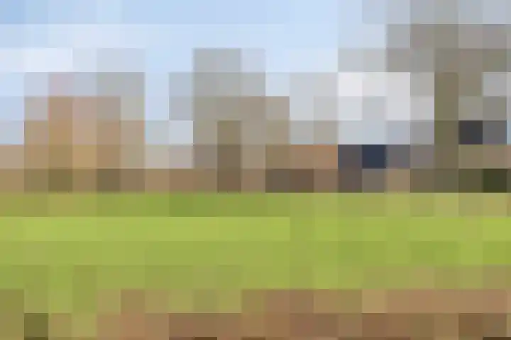 Sikkelkruid 6 Nieuwerkerk aan den IJssel thumbnail 44