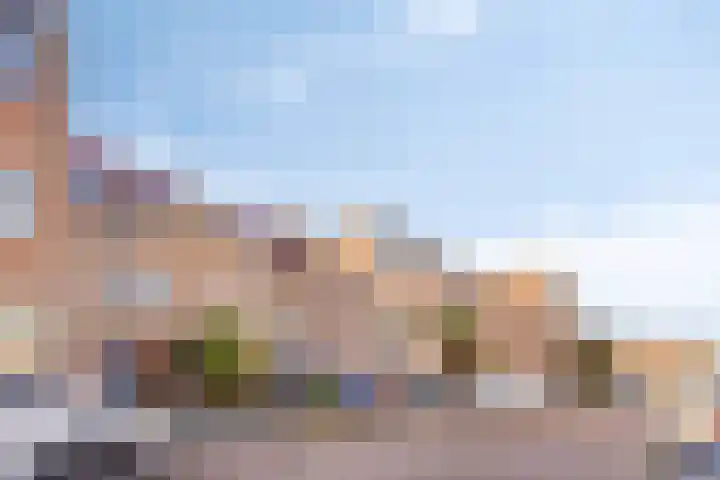 Sikkelkruid 6 Nieuwerkerk aan den IJssel thumbnail 45