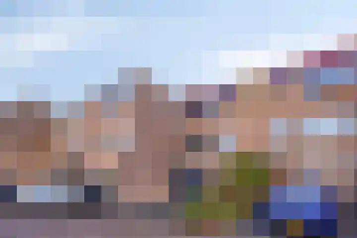 Sikkelkruid 6 Nieuwerkerk aan den IJssel thumbnail 46
