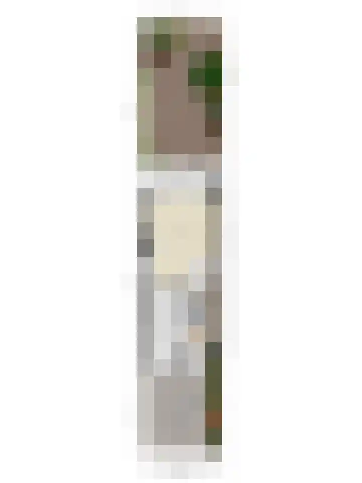 Sikkelkruid 6 Nieuwerkerk aan den IJssel thumbnail 50