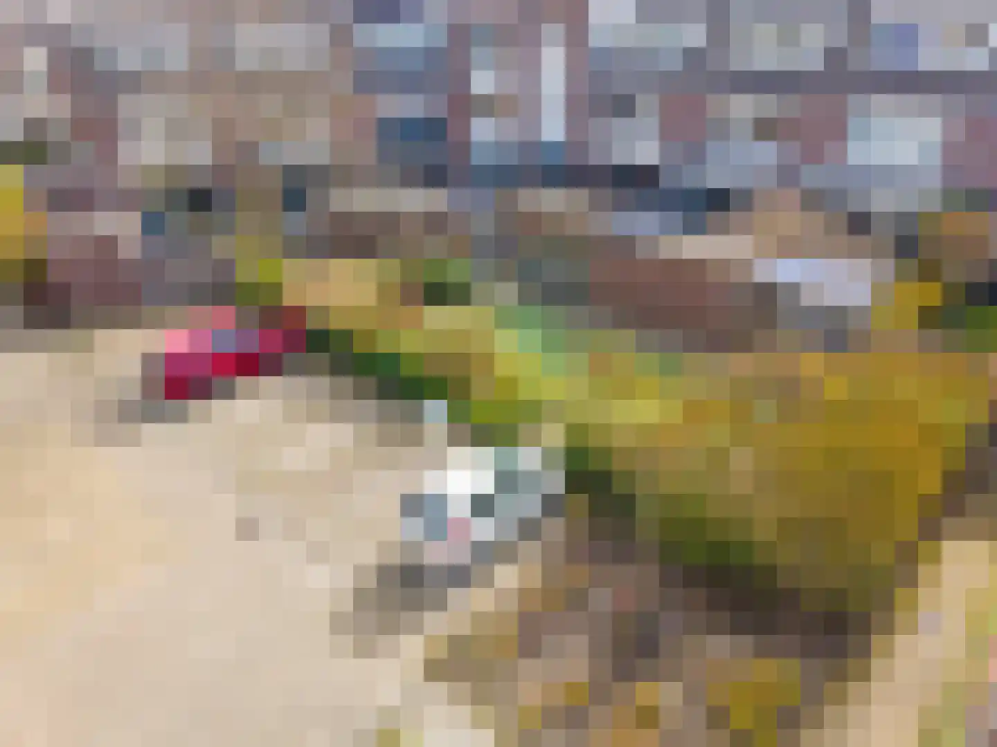 Sikkelkruidstraat 18 Voorhout thumbnail 28