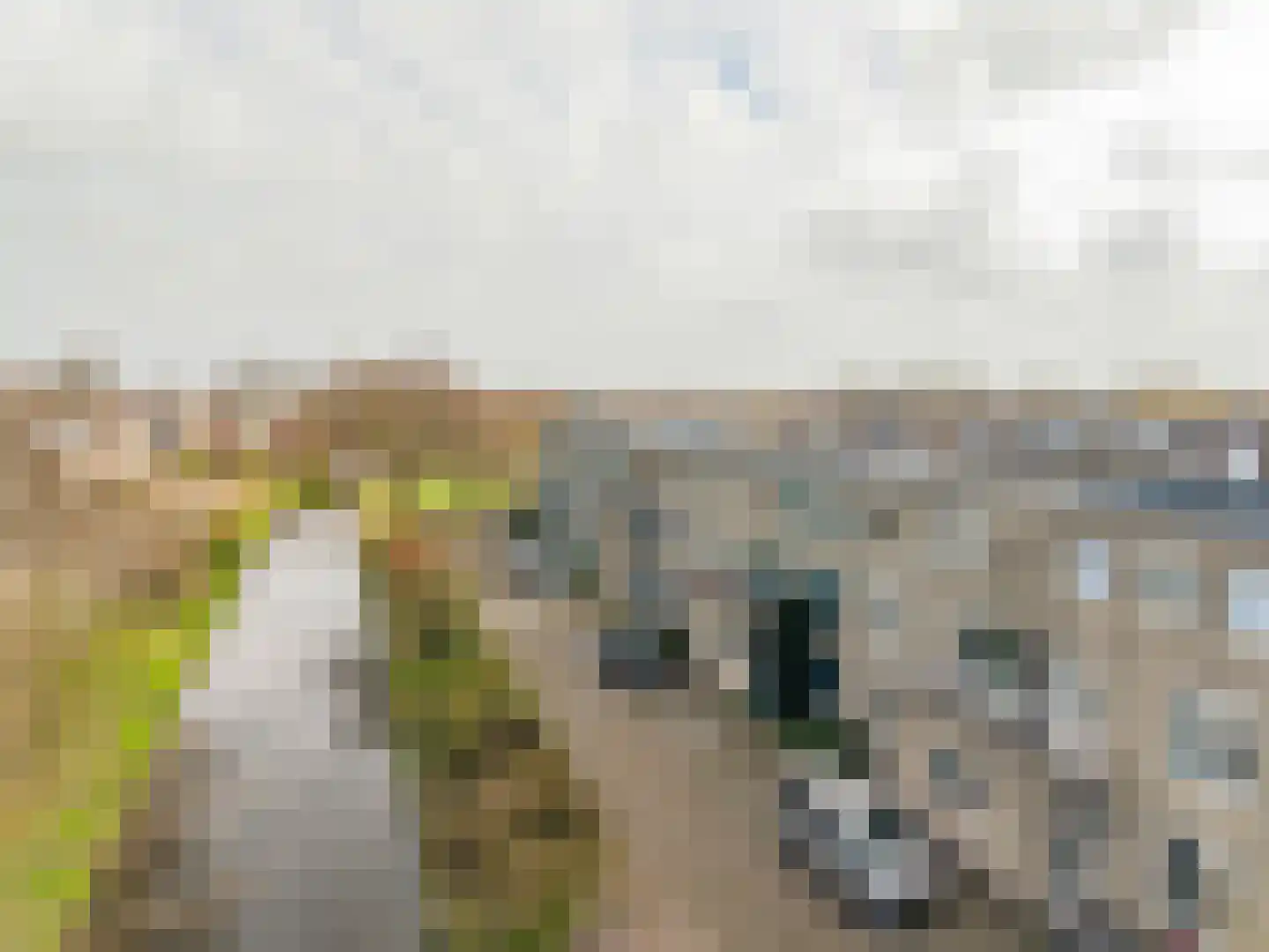Sikkelkruidstraat 18 Voorhout thumbnail 29