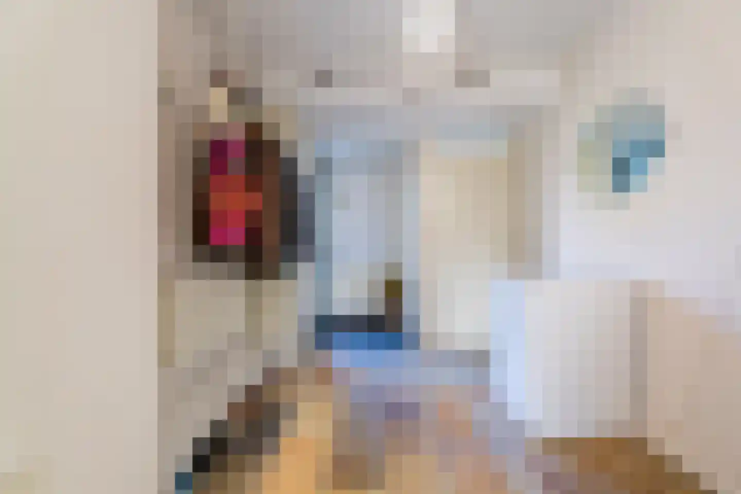 Sikkelkruidstraat 18 Voorhout thumbnail 8