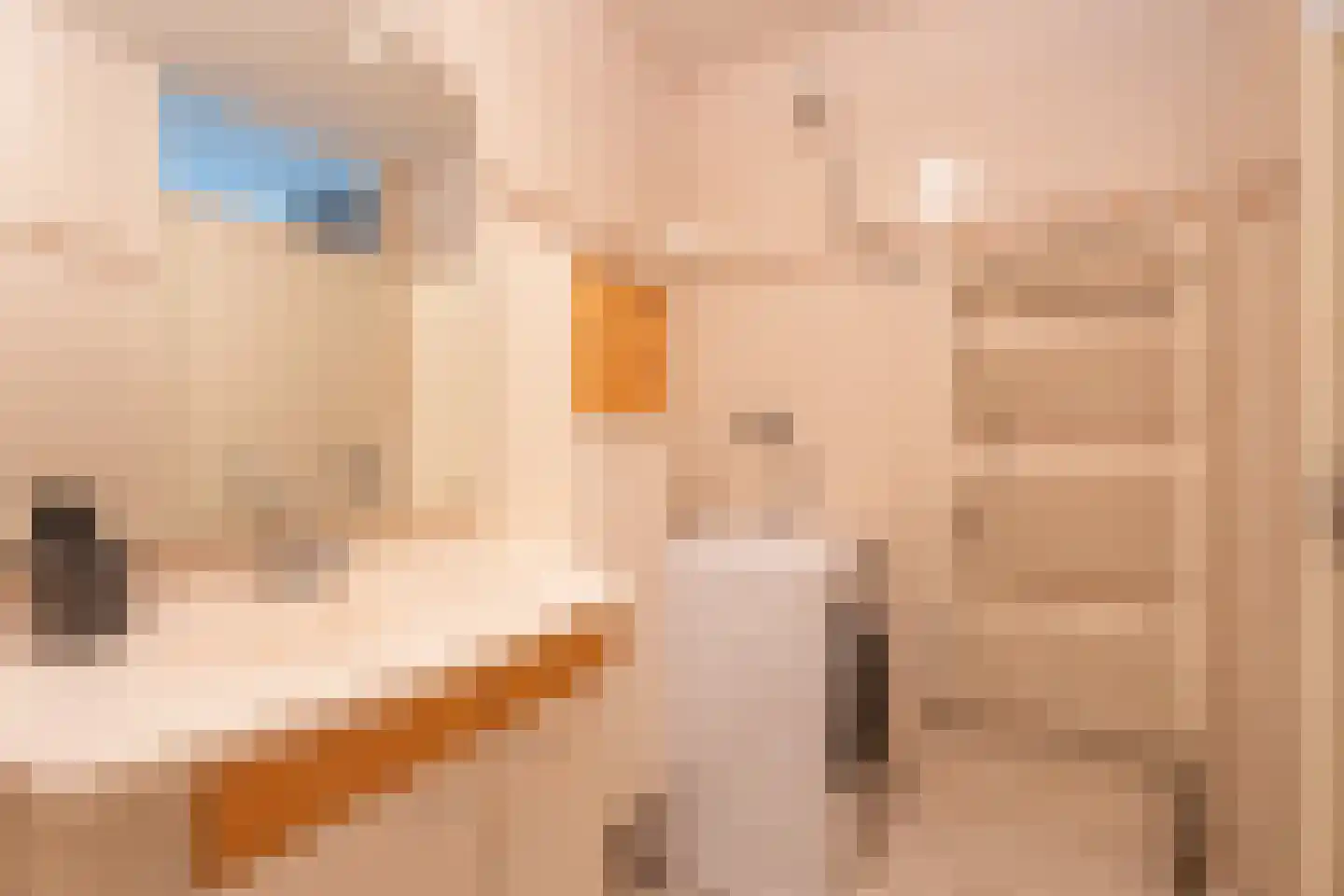 Sikkelkruidstraat 5 Voorhout thumbnail 18