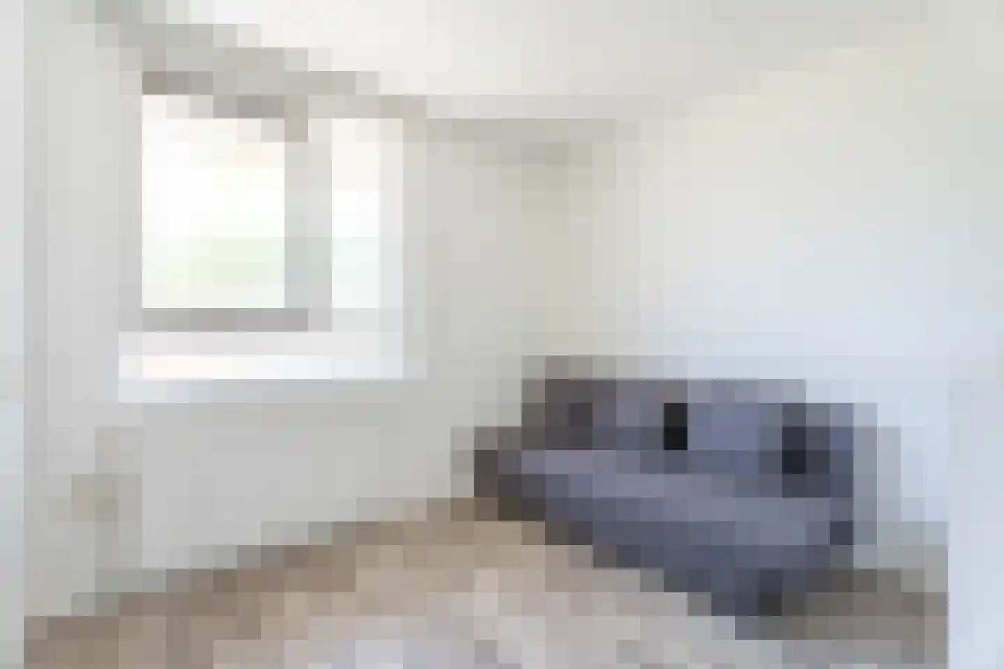 Sikkelkruidstraat 5 Voorhout thumbnail 19