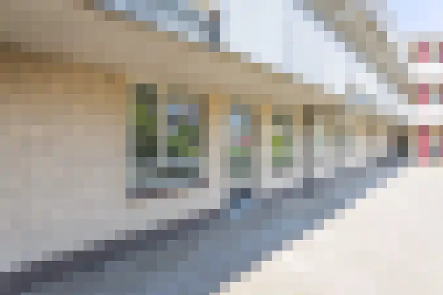 Sikkelkruidstraat 5 Voorhout thumbnail 32