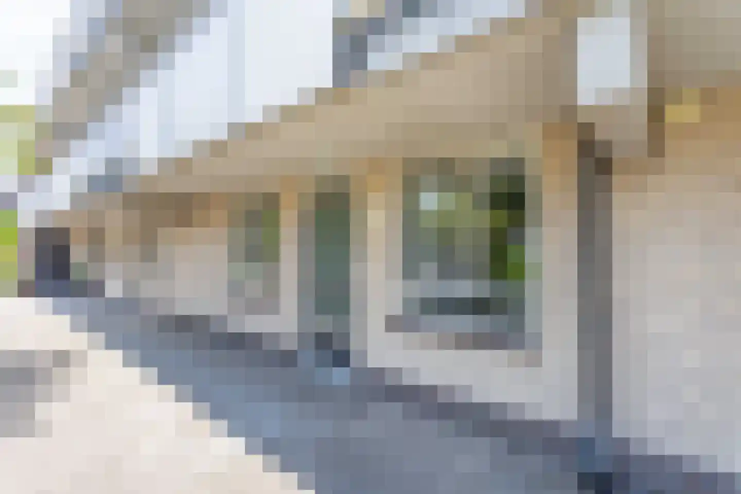 Sikkelkruidstraat 5 Voorhout thumbnail 33