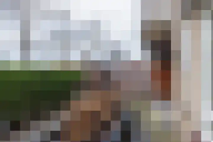 Sikkelkruidstraat 7 Voorhout thumbnail 11