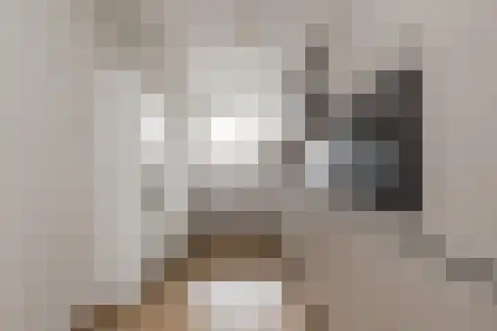 Sikkelkruidstraat 7 Voorhout thumbnail 15