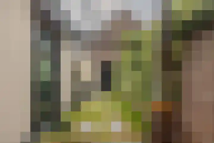 Sikkelstraat 13 Nijmegen thumbnail 30