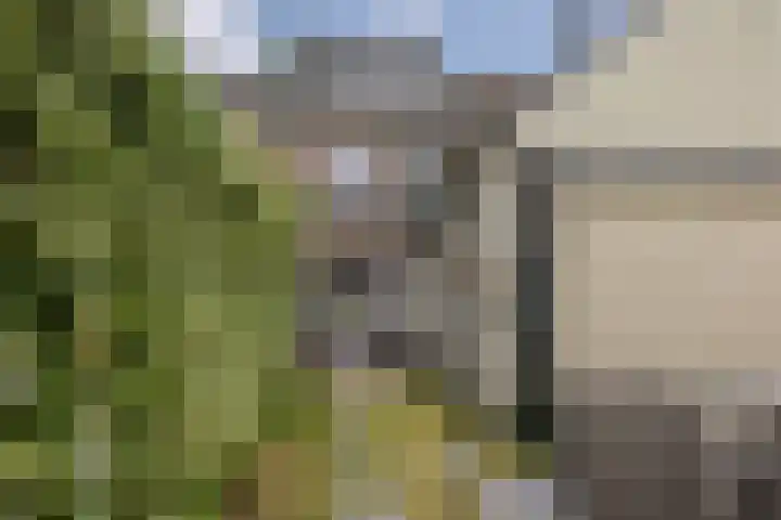 Sikkelstraat 13 Nijmegen thumbnail 31