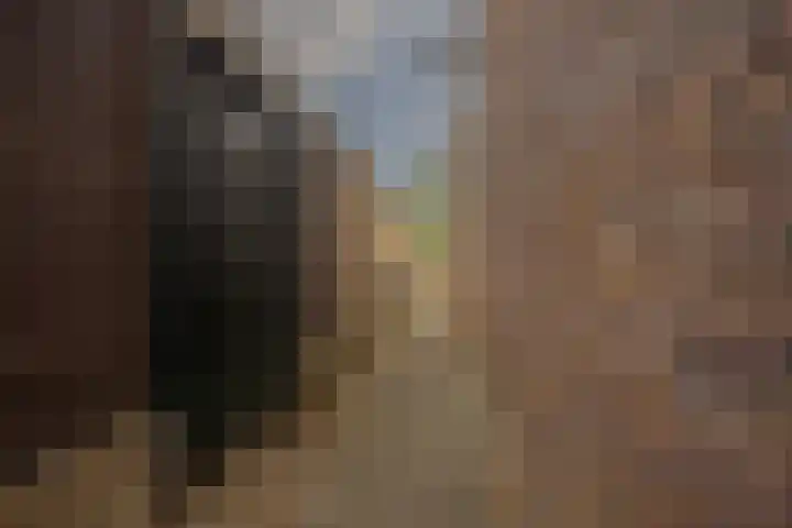 Sikkelstraat 13 Nijmegen thumbnail 38