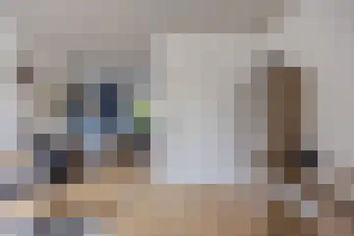 Sikkelstraat 13 Nijmegen thumbnail 5