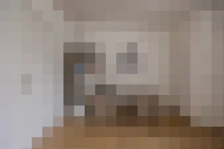 Sikkelstraat 13 Nijmegen thumbnail 9