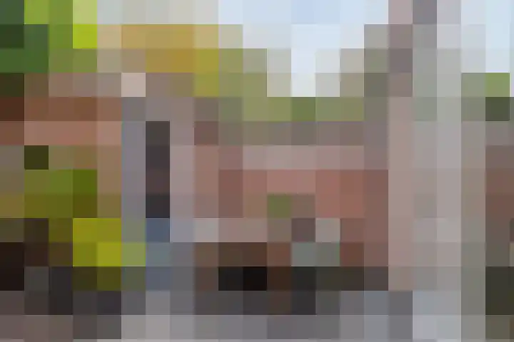 Sikkelstraat 14 Breda thumbnail 28