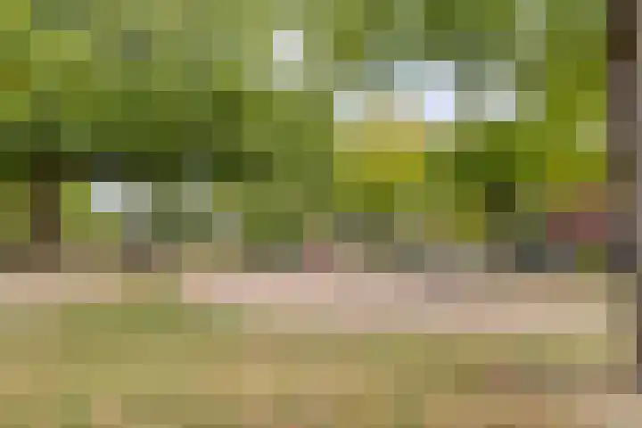 Sikkelstraat 14 Breda thumbnail 33