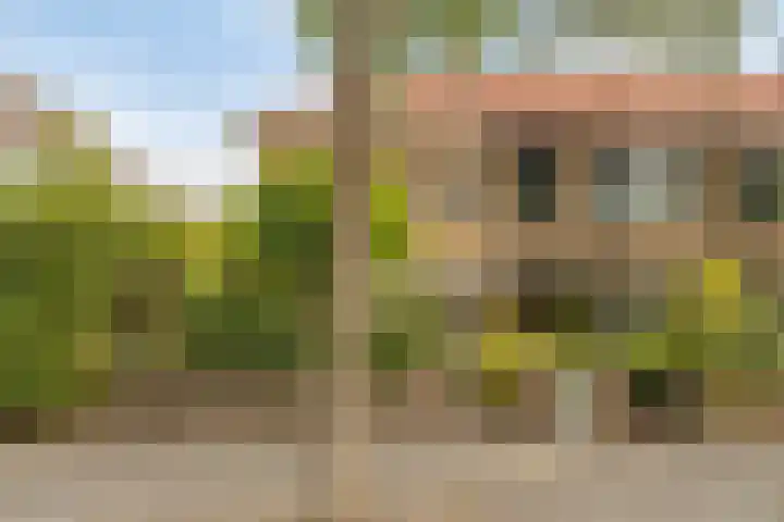 Sikkelstraat 14 Breda thumbnail 4