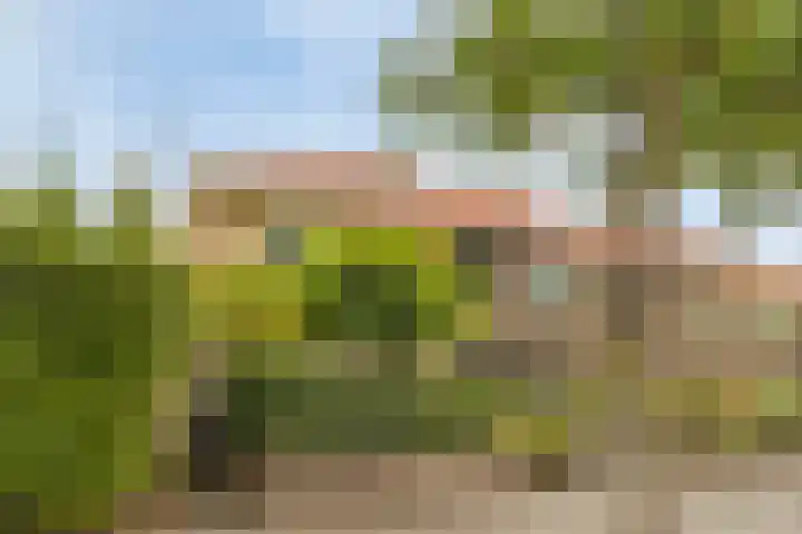 Sikkelstraat 14 Breda thumbnail 5