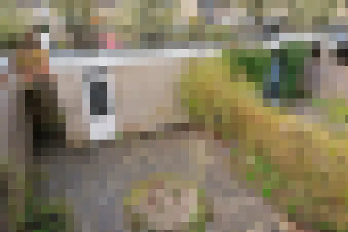 Sikkelstraat 14 Nieuw-Vennep thumbnail 23