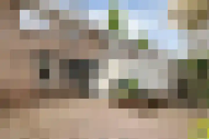 Sikkelstraat 14 Nijmegen thumbnail 6