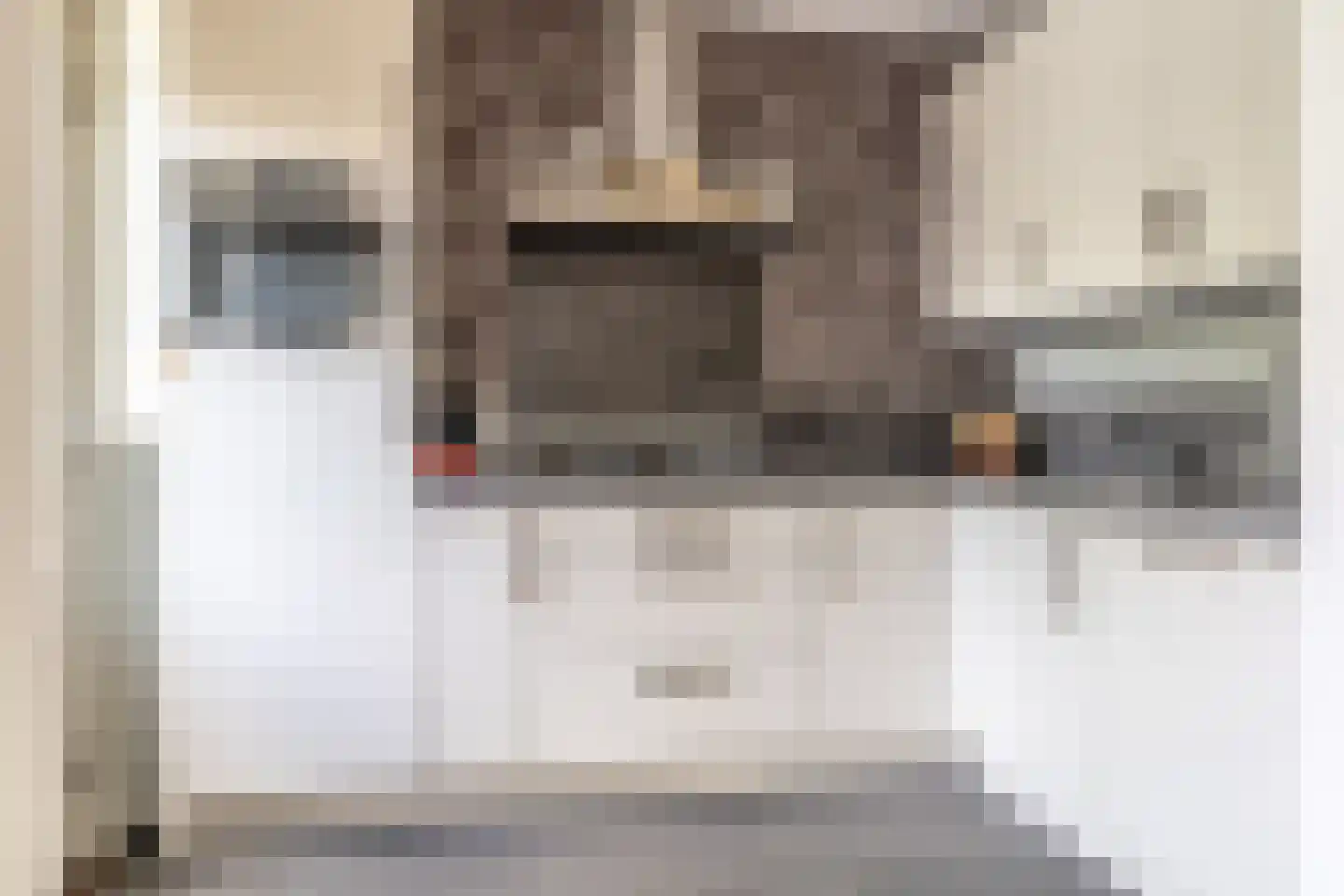 Sikkelstraat 15 Breda thumbnail 18