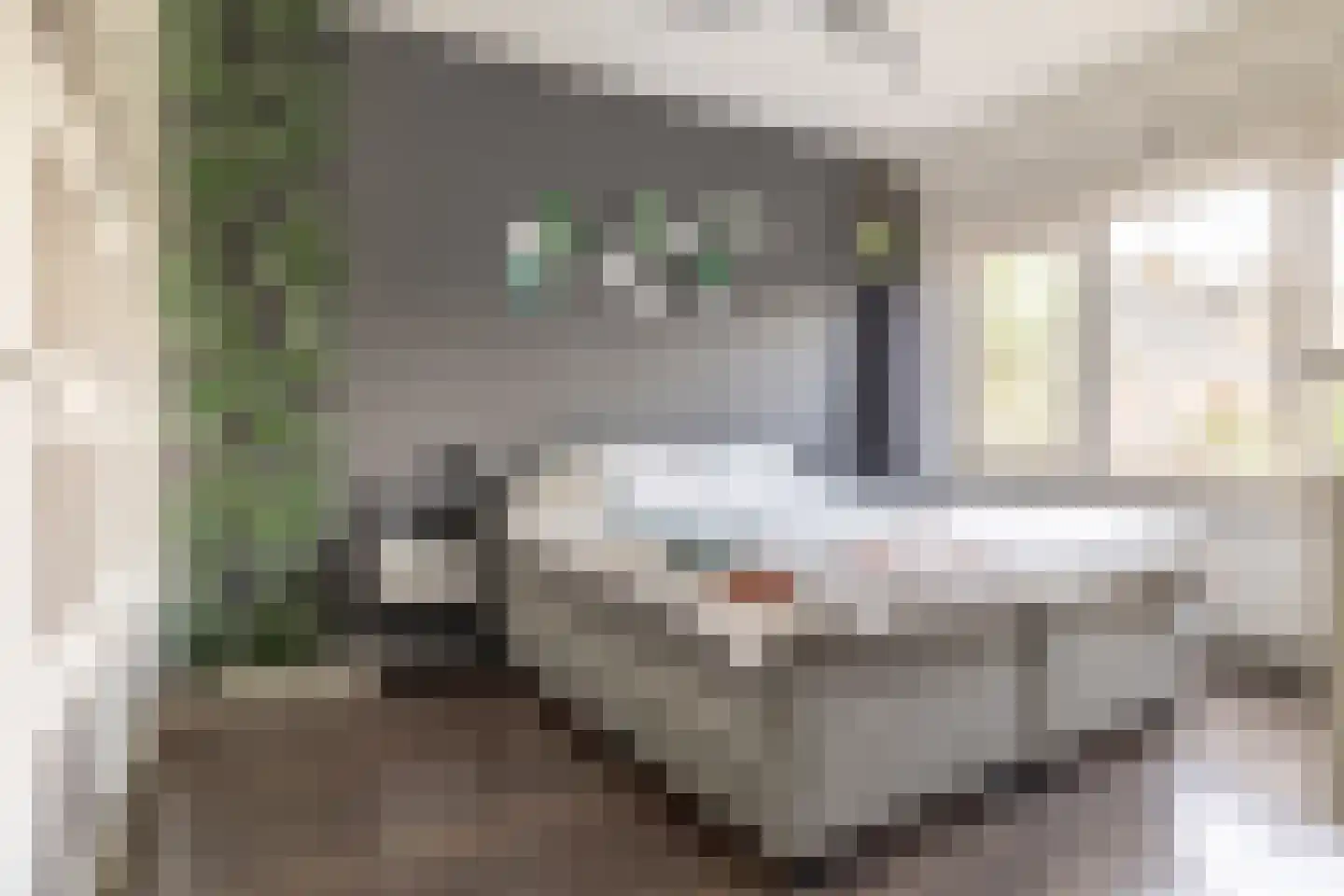 Sikkelstraat 15 Breda thumbnail 26