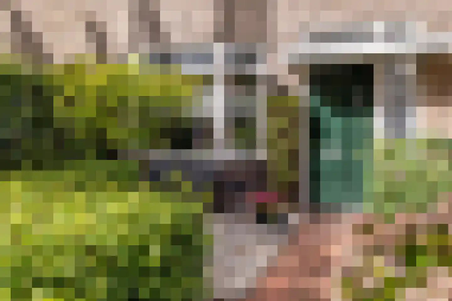 Sikkelstraat 15 Breda thumbnail 8