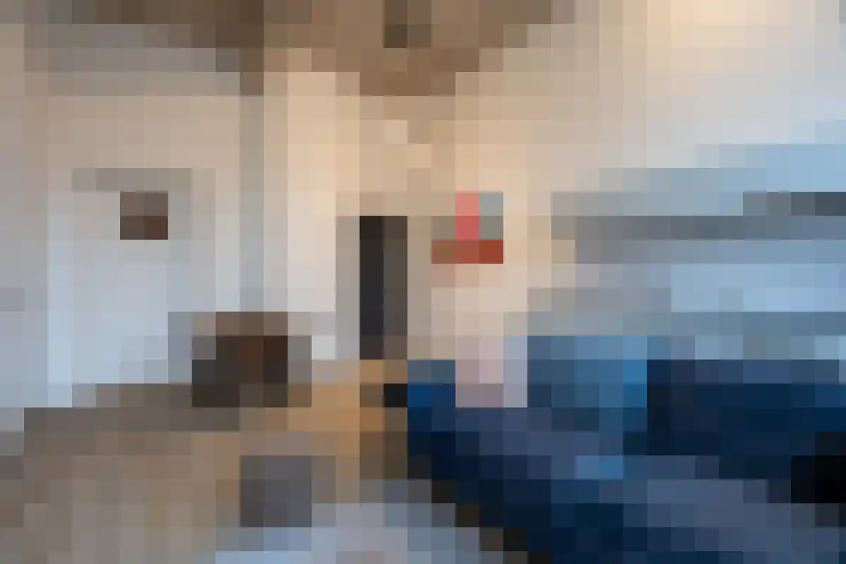 Sikkelstraat 17 Rotterdam thumbnail 4