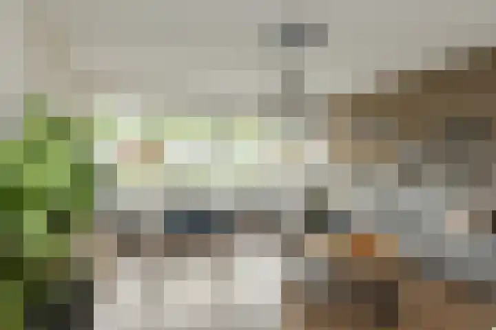 Sikkelstraat 2 Oosterhout thumbnail 11
