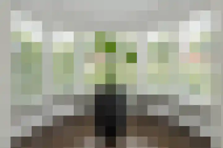 Sikkelstraat 2 Oosterhout thumbnail 21