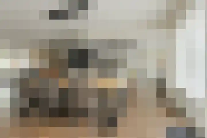 Sikkelstraat 2 Oosterhout thumbnail 23