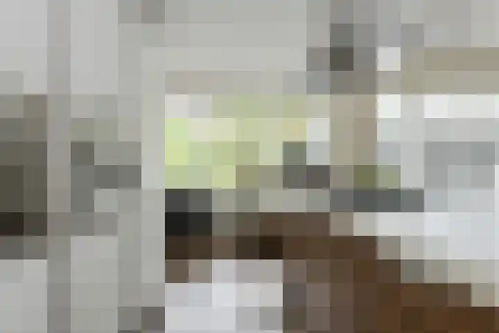 Sikkelstraat 2 Oosterhout thumbnail 25