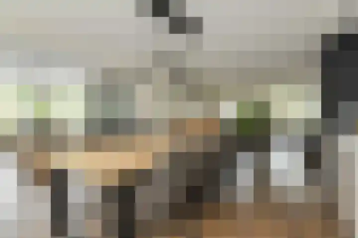 Sikkelstraat 2 Oosterhout thumbnail 27