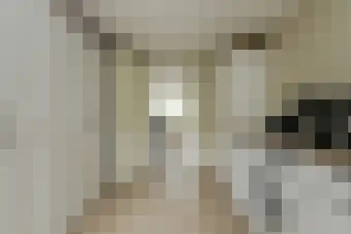 Sikkelstraat 2 Oosterhout thumbnail 30