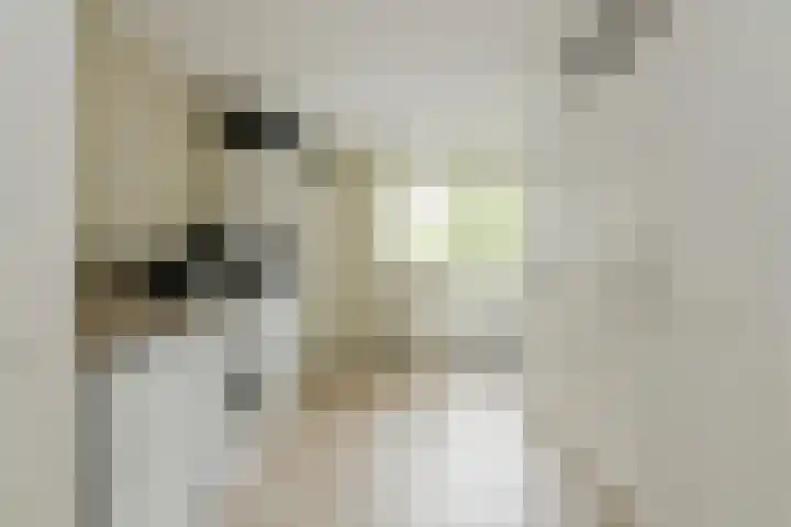 Sikkelstraat 2 Oosterhout thumbnail 31