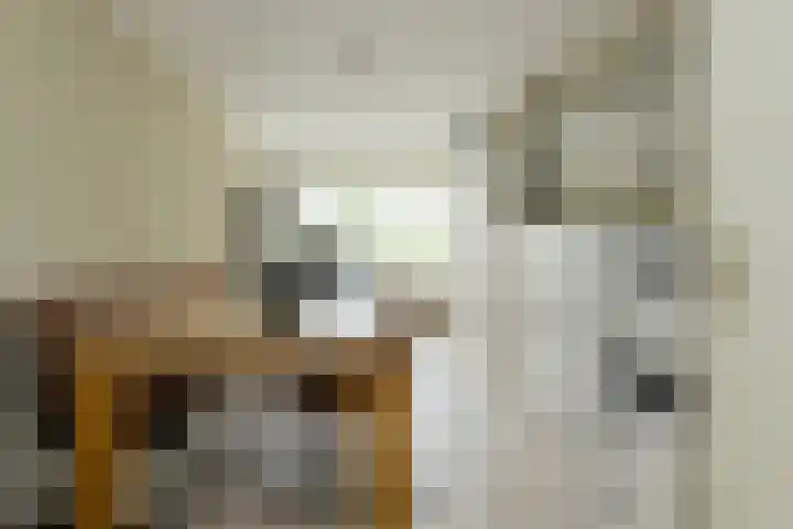 Sikkelstraat 2 Oosterhout thumbnail 32