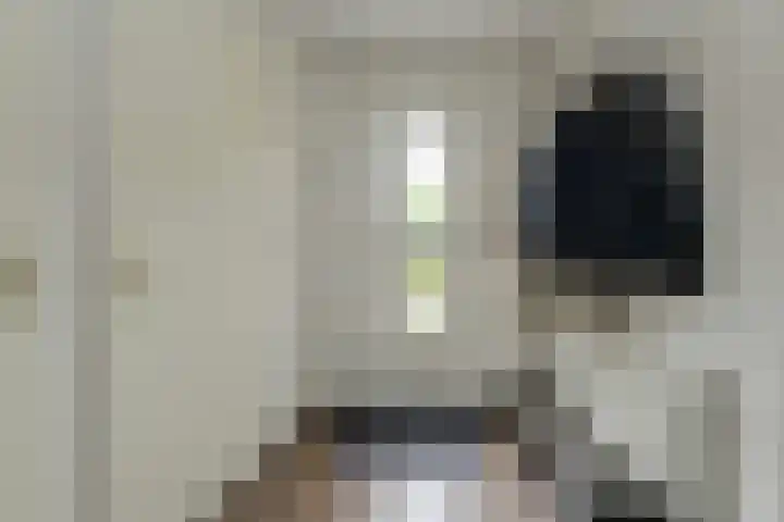 Sikkelstraat 2 Oosterhout thumbnail 34