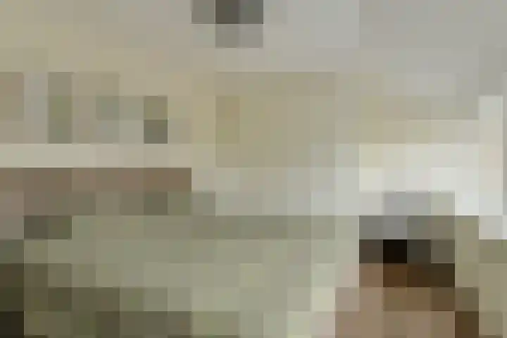 Sikkelstraat 2 Oosterhout thumbnail 39