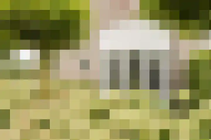Sikkelstraat 2 Oosterhout thumbnail 9