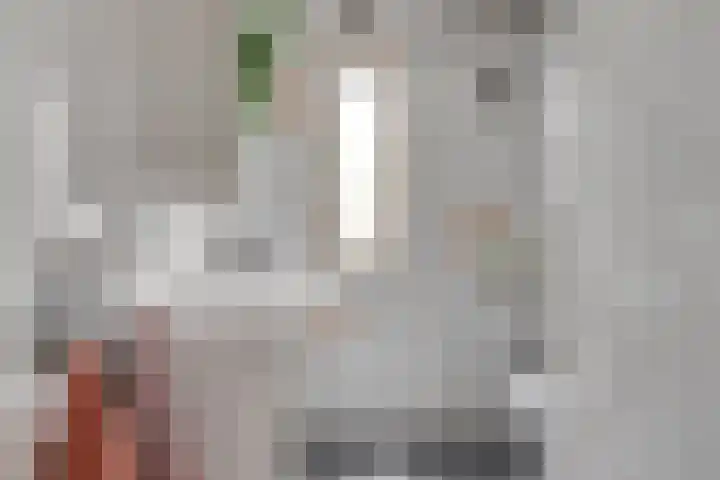 Sikkelstraat 22 Alkmaar thumbnail 19
