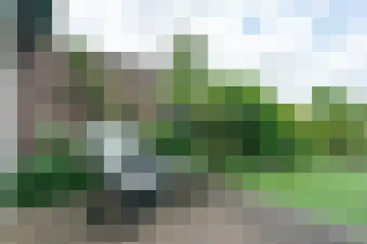 Sikkelstraat 22 Alkmaar thumbnail 29