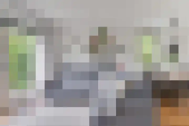 Sikkelstraat 22 Alkmaar thumbnail 4