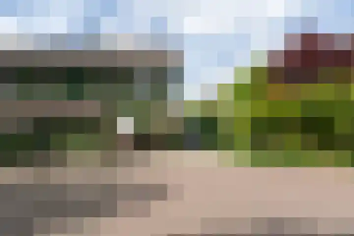 Sikkelstraat 22 Alkmaar thumbnail 46