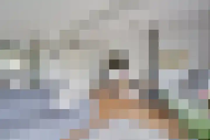 Sikkelstraat 22 Alkmaar thumbnail 6