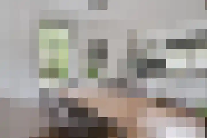 Sikkelstraat 22 Alkmaar thumbnail 7
