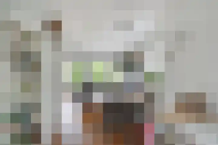 Sikkelstraat 22 Alkmaar thumbnail 9