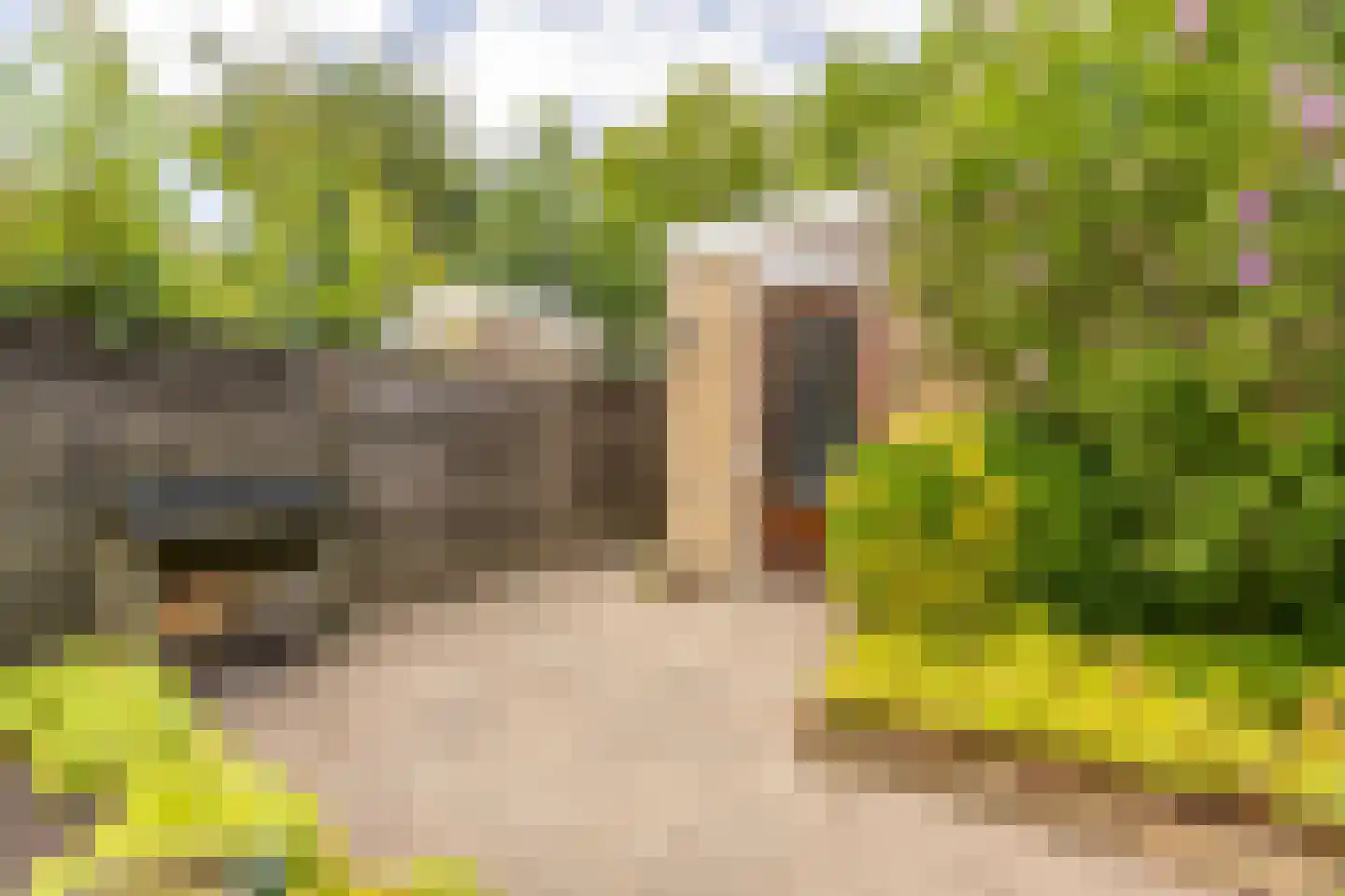 Sikkelstraat 26 Nieuw-Vennep thumbnail 25