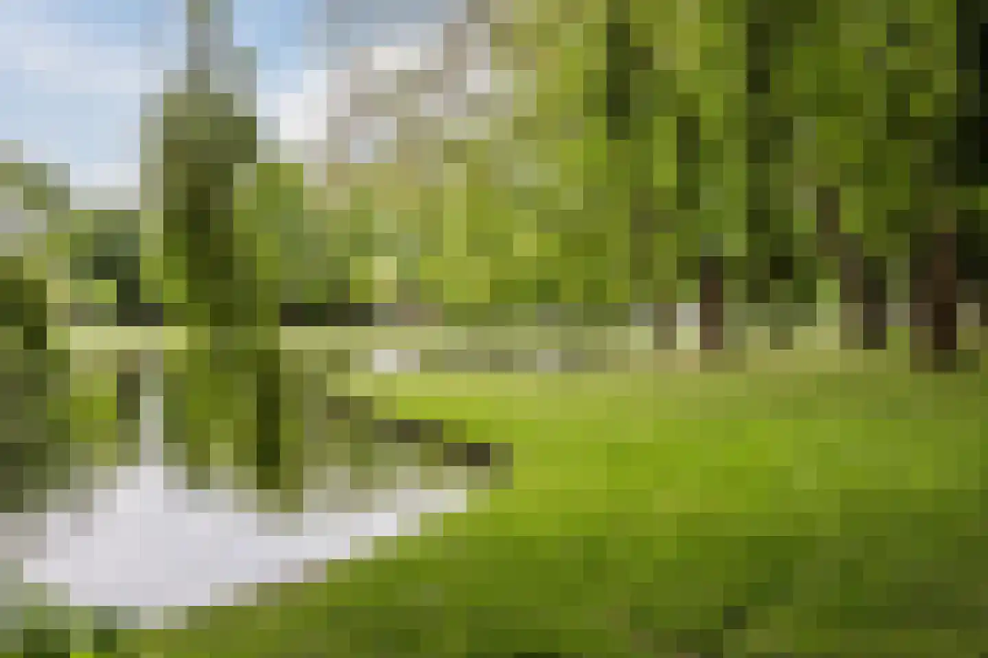 Sikkelstraat 32 Rotterdam thumbnail 36