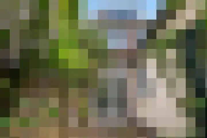 Sikkelstraat 33 Nijmegen thumbnail 16